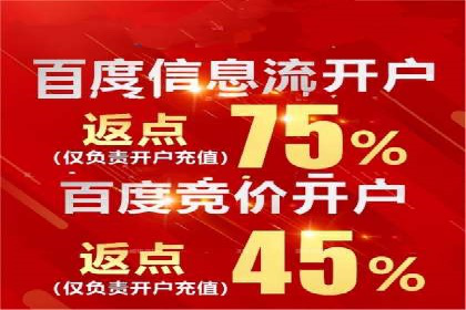 网络推广秘籍：竞价排名成功案例集锦